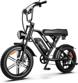 G60 Electric Bike-1000W Single Motor, 48V 15AH, 45-55KM Range, 30MPH Speed, 20-Inch Fat Tires, Dual Suspension, Disc Brake E-Brake (Option: Black)